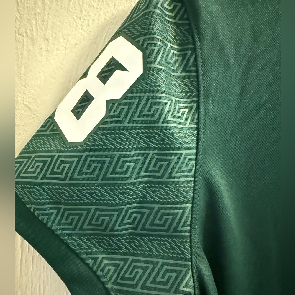 Nike Michigan State Authentic Team Green Dri-FIT Shirt - Picture 7 of 8